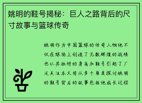 姚明的鞋号揭秘：巨人之路背后的尺寸故事与篮球传奇